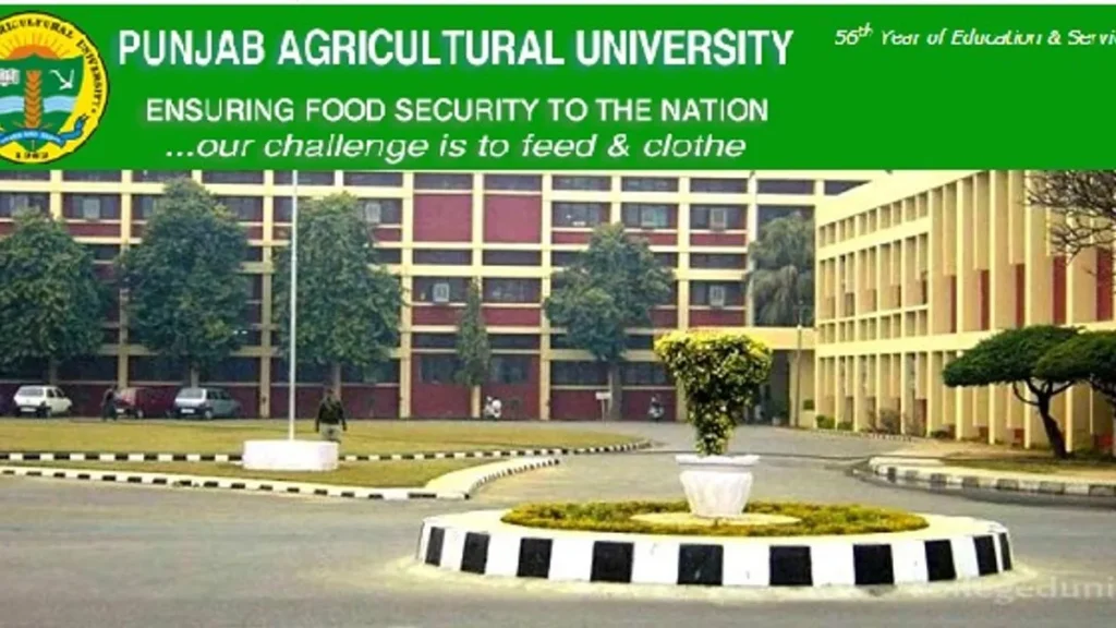 punjab agriculture university